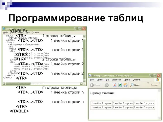 Программирование таблиц 1 строка таблицы … 1 ячейка строки 1 ……………… …