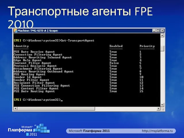 Транспортные агенты FPE 2010