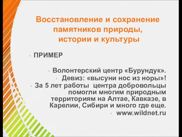 Восстановление и сохранение памятников природы, истории и культуры ПРИМЕР Волонтерский центр «Бурундук».