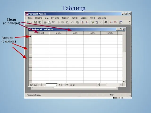 Таблица Записи (строки) Поля (столбцы)