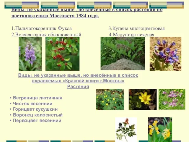 Виды, не указанные выше , но внесенные в список растений по постановлению