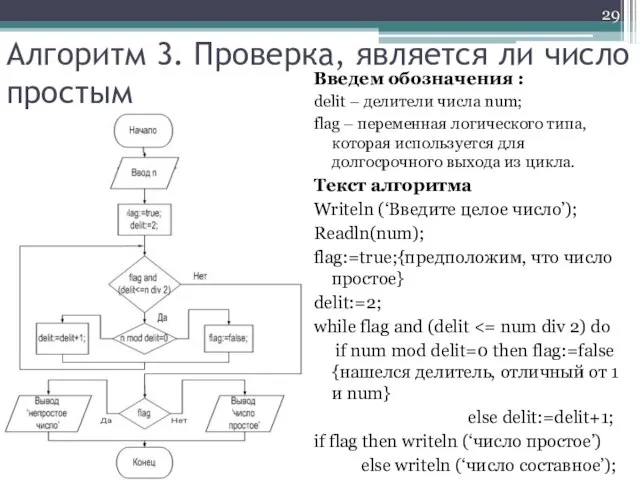 Алгоритм 3. Проверка, является ли число простым Введем обозначения : delit –