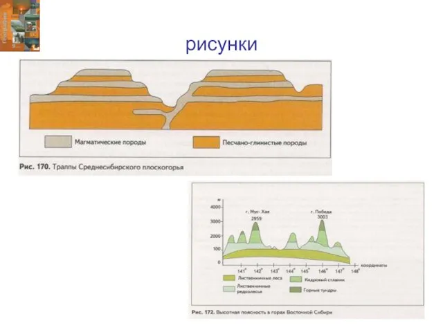 рисунки