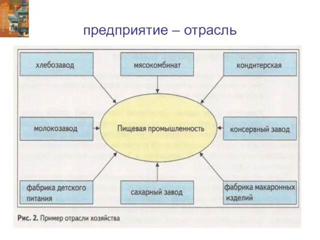 предприятие – отрасль