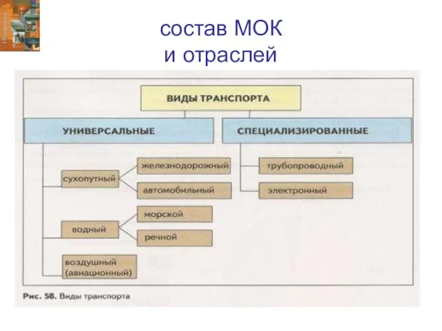 состав МОК и отраслей