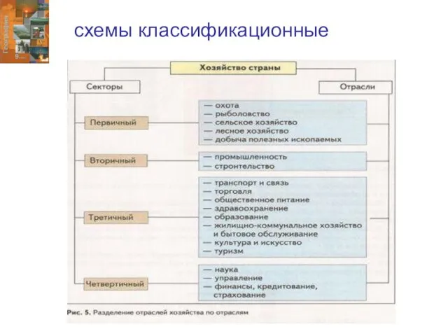 схемы классификационные