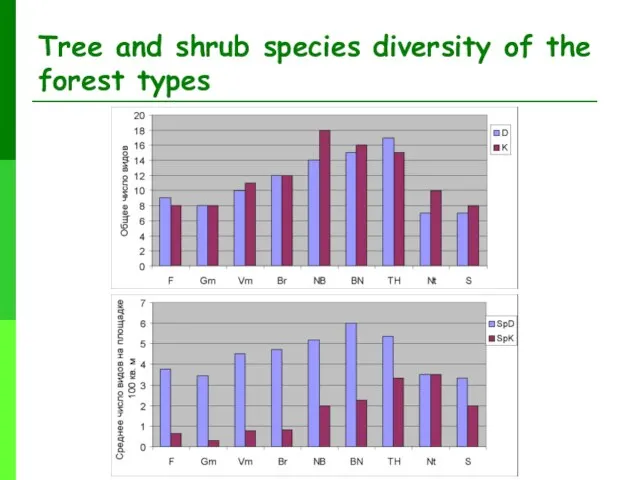 Tree and shrub species diversity of the forest types