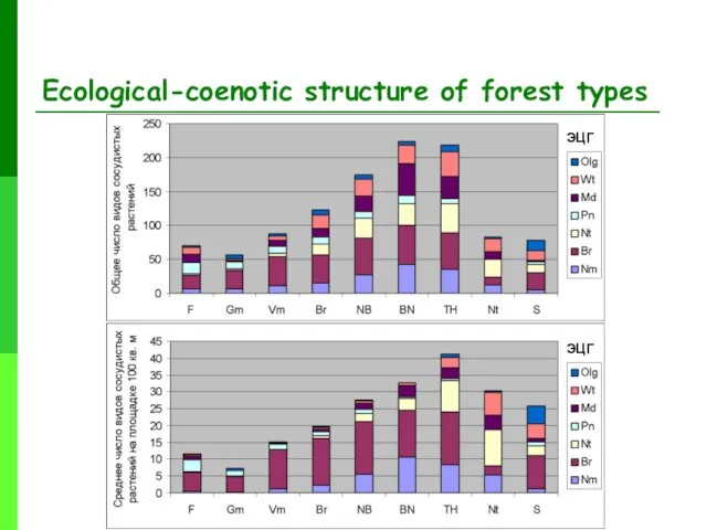 Ecological-coenotic structure of forest types ЭЦГ ЭЦГ