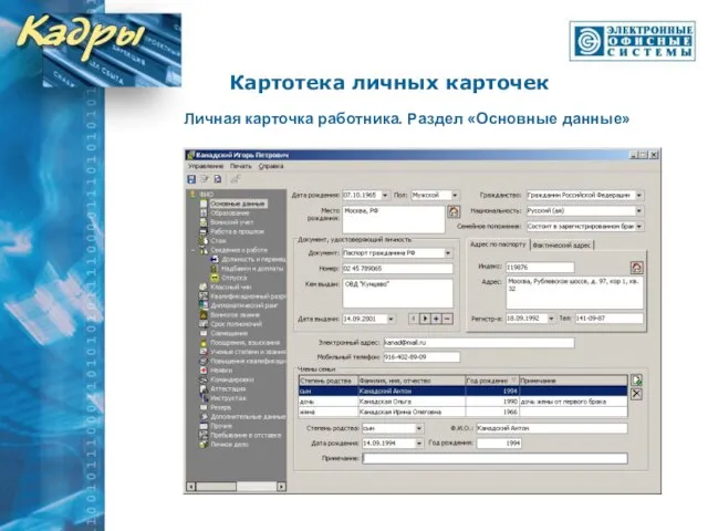 Личная карточка работника. Раздел «Основные данные» Картотека личных карточек