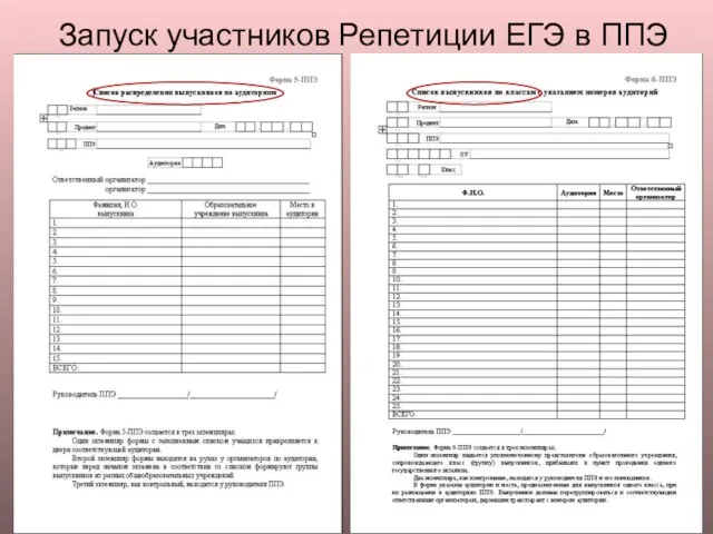 Запуск участников Репетиции ЕГЭ в ППЭ