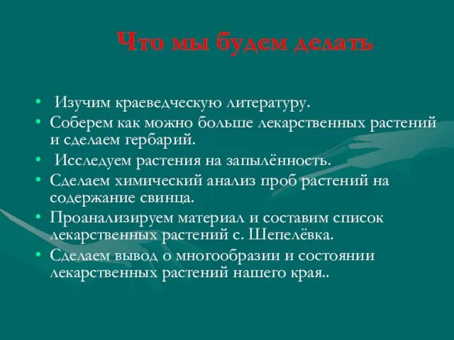 Что мы будем делать Изучим краеведческую литературу. Соберем как можно больше лекарственных