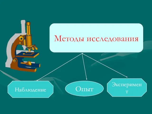 Методы исследования Опыт Эксперимент Наблюдение