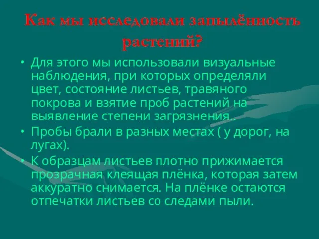 Как мы исследовали запылённость растений? Для этого мы использовали визуальные наблюдения, при