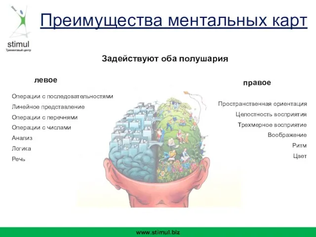 www.stimul.biz левое правое Пространственная ориентация Целостность восприятия Трехмерное восприятие Воображение Ритм Цвет