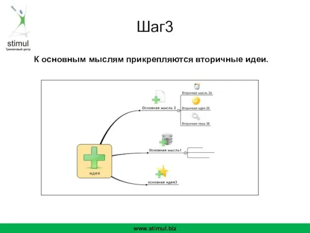 Шаг3 К основным мыслям прикрепляются вторичные идеи. www.stimul.biz