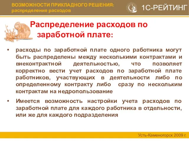 ВОЗМОЖНОСТИ ПРИКЛАДНОГО РЕШЕНИЯ: распределение расходов Распределение расходов по заработной плате: Усть-Каменогорск 2009