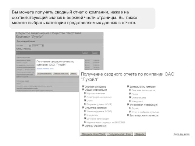 Вы можете получить сводный отчет о компании, нажав на соответствующий значок в