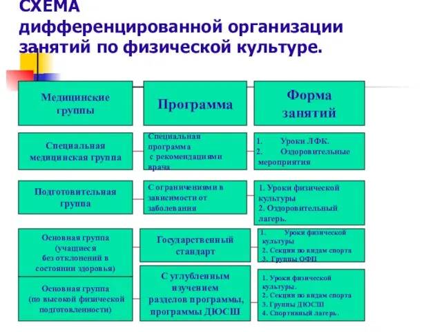 СХЕМА дифференцированной организации занятий по физической культуре. Медицинские группы Программа Форма занятий