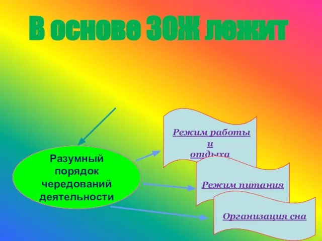 правильный режим жизнедеятельности: Разумный порядок чередований деятельности Режим работы и отдыха Режим