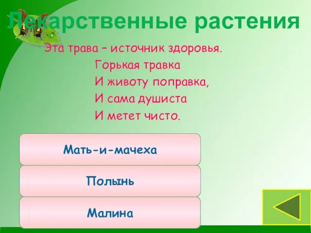 Эта трава – источник здоровья. Горькая травка И животу поправка, И сама