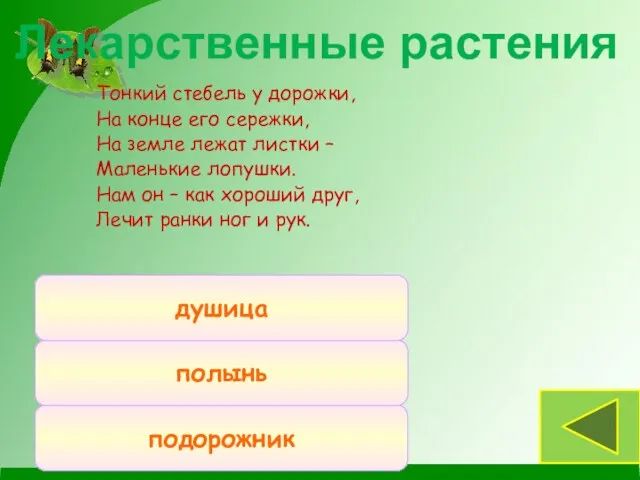 Тонкий стебель у дорожки, На конце его сережки, На земле лежат листки