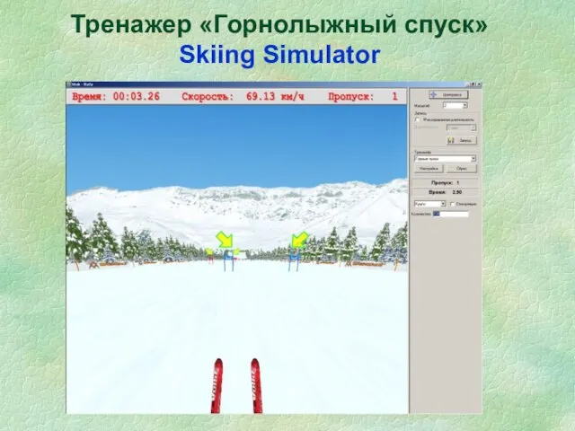 Тренажер «Горнолыжный спуск» Skiing Simulator