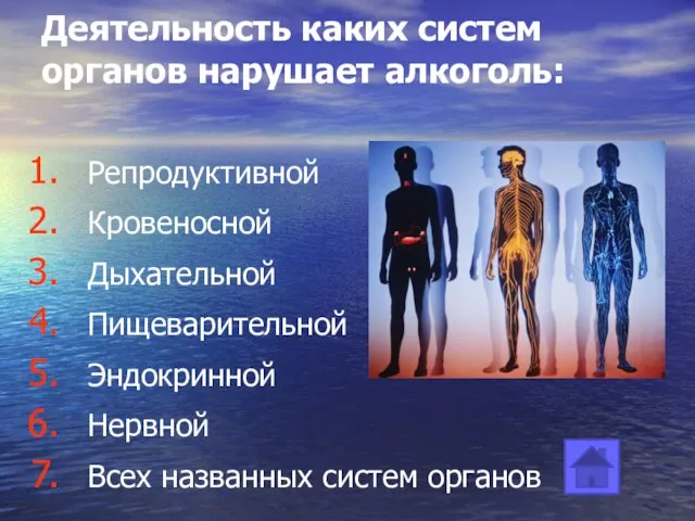 Деятельность каких систем органов нарушает алкоголь: Репродуктивной Кровеносной Дыхательной Пищеварительной Эндокринной Нервной Всех названных систем органов