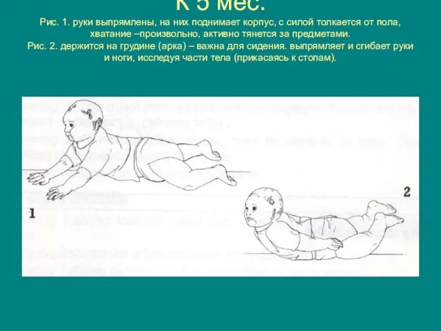 К 5 мес. Рис. 1. руки выпрямлены, на них поднимает корпус, с