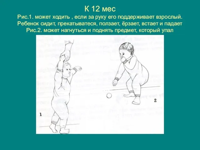 К 12 мес Рис.1. может ходить , если за руку его поддерживает