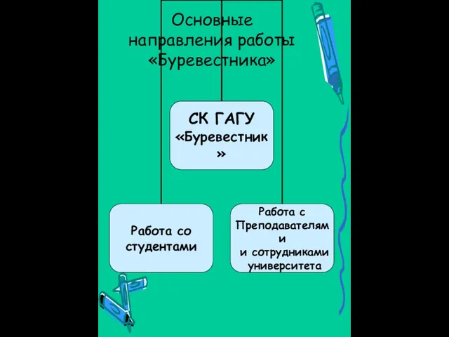 Основные направления работы «Буревестника»