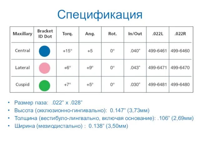 Размер паза: .022” x .028” Высота (окклюзионно-гингивально): 0.147” (3,73мм) Толщина (вестибуло-лингвально, включая