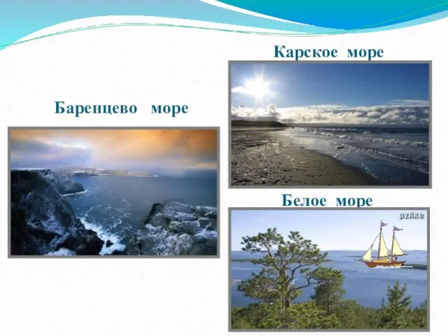 Белое море Баренцево море Карское море