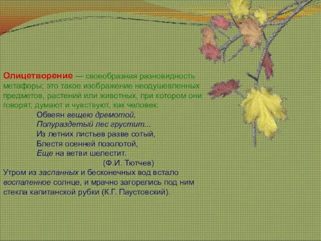 Олицетворение — своеобразная разновидность метафоры; это такое изображение неодушевленных предметов, растений или