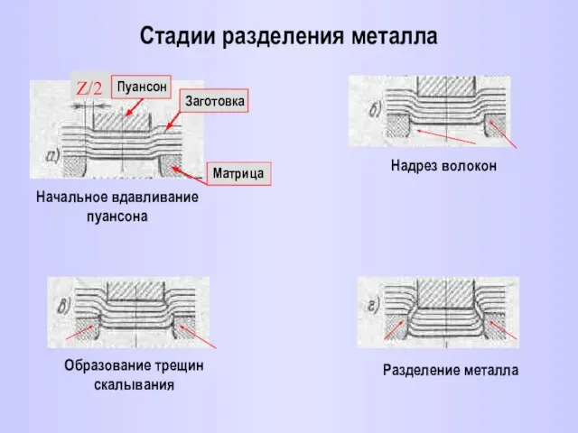 Стадии разделения металла Z/2 Матрица Пуансон Заготовка Начальное вдавливание пуансона Надрез волокон