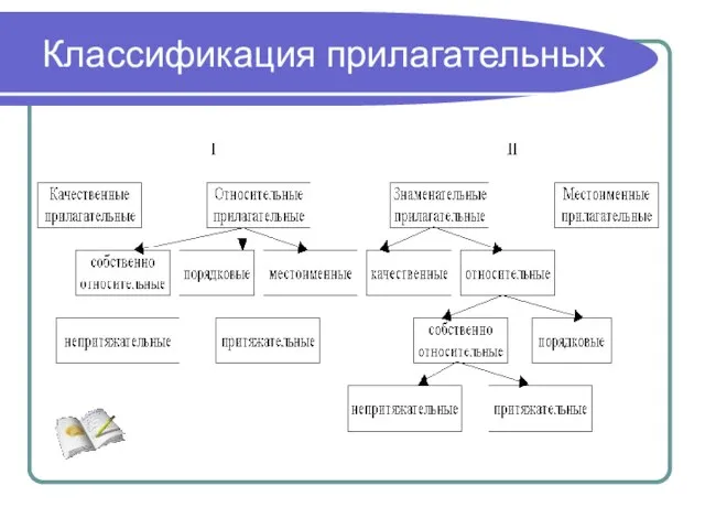 Классификация прилагательных