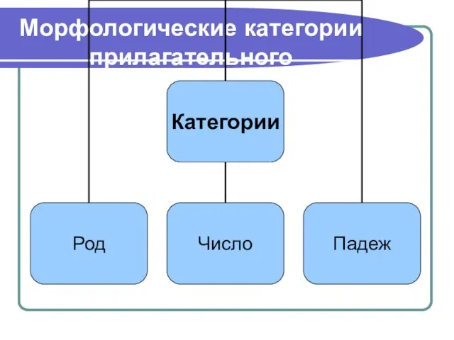 Морфологические категории прилагательного