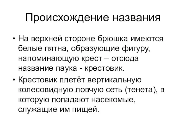 Происхождение названия На верхней стороне брюшка имеются белые пятна, образующие фигуру, напоминающую