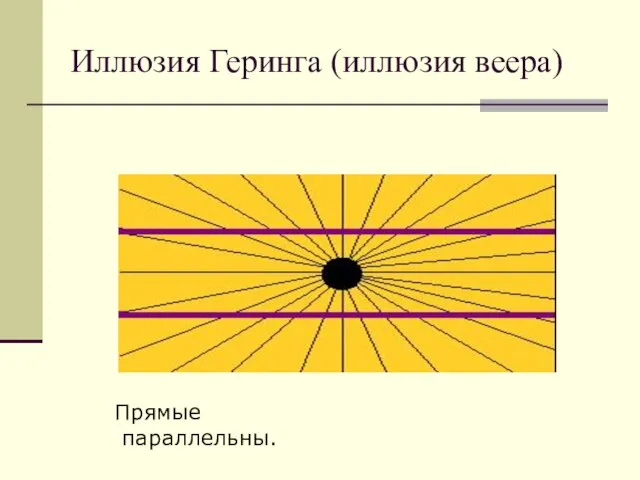 Иллюзия Геринга (иллюзия веера) Прямые параллельны.