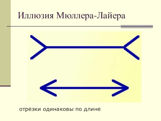 Иллюзия Мюллера-Лайера отрезки одинаковы по длине