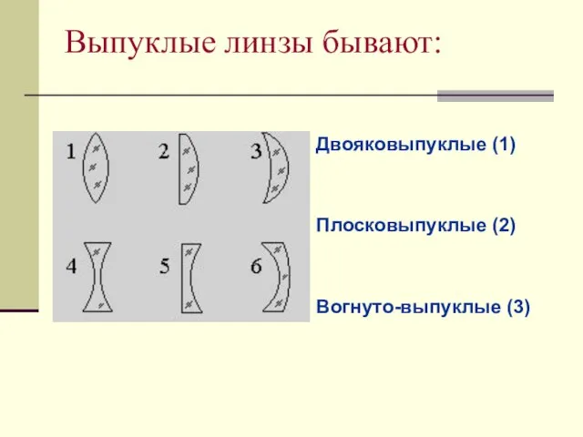 Выпуклые линзы бывают: Двояковыпуклые (1) Плосковыпуклые (2) Вогнуто-выпуклые (3)