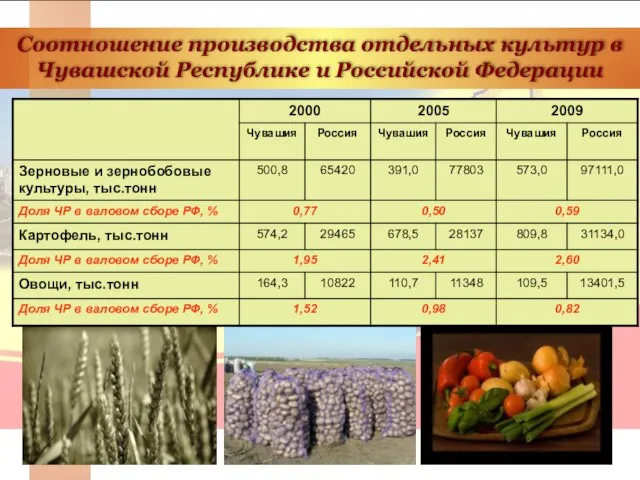 Соотношение производства отдельных культур в Чувашской Республике и Российской Федерации