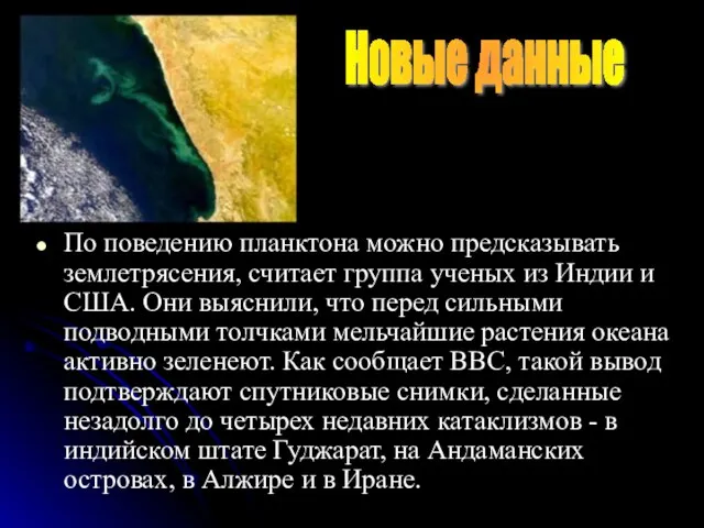 По поведению планктона можно предсказывать землетрясения, считает группа ученых из Индии и