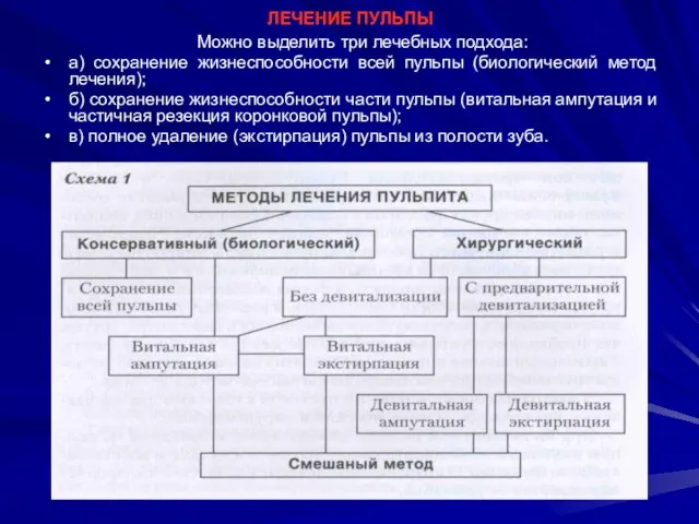 ЛЕЧЕНИЕ ПУЛЬПЫ Можно выделить три лечебных подхода: а) сохранение жизнеспособности всей пульпы