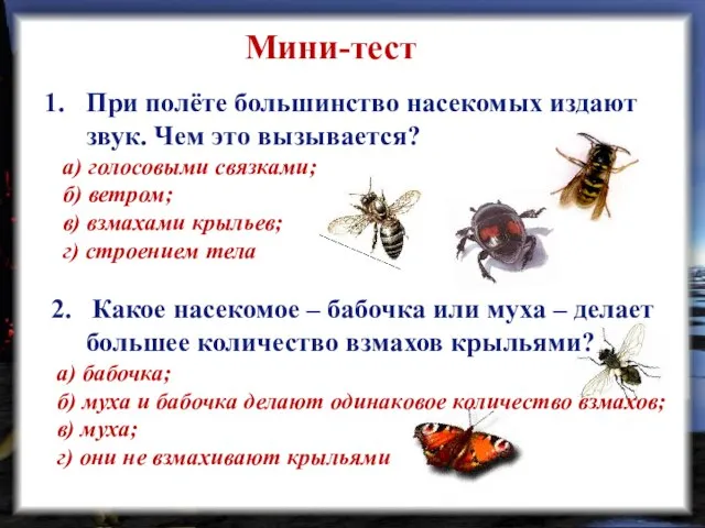 Мини-тест При полёте большинство насекомых издают звук. Чем это вызывается? а) голосовыми