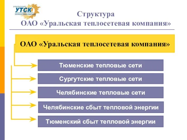 Челябинские тепловые сети Структура ОАО «Уральская теплосетевая компания» ОАО «Уральская теплосетевая компания»