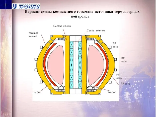Вариант схемы компактного токамака-источника термоядерных нейтронов Vacuum vessel Central column Central solenoid