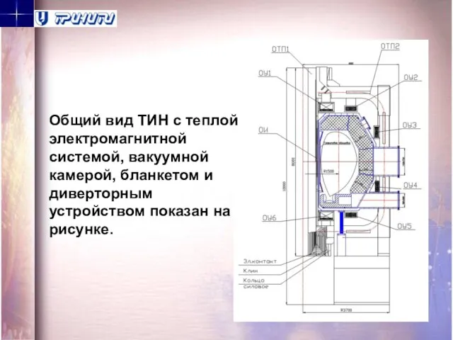 Общий вид ТИН с теплой электромагнитной системой, вакуумной камерой, бланкетом и диверторным устройством показан на рисунке.