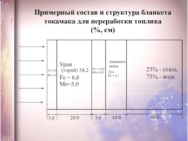 Примерный состав и структура бланкета токамака для переработки топлива (%, см) Алюминат лития