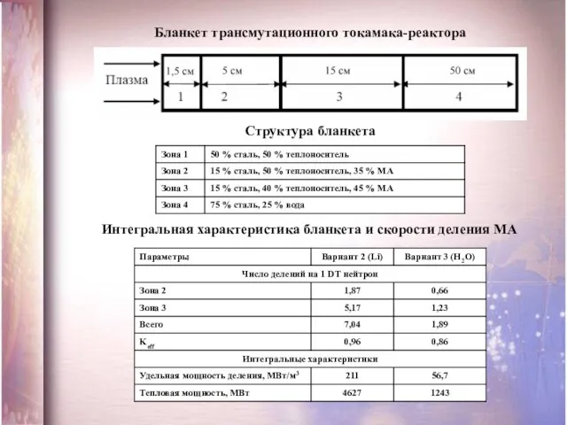 Структура бланкета Интегральная характеристика бланкета и скорости деления МА Бланкет трансмутационного токамака-реактора