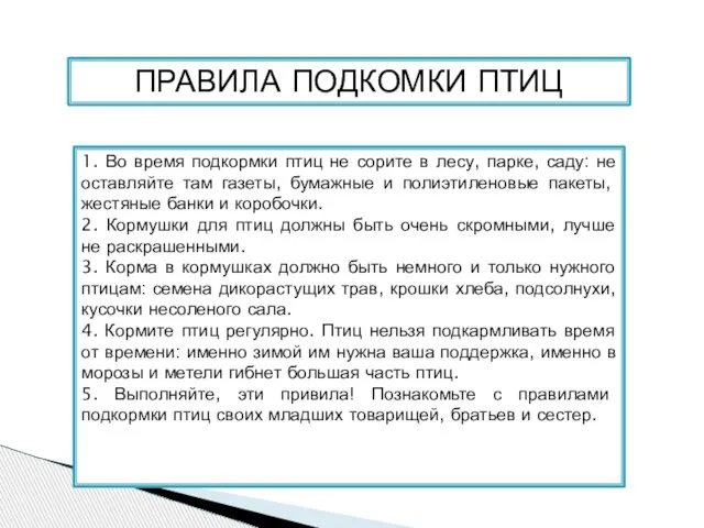 1. Во время подкормки птиц не сорите в лесу, парке, саду: не